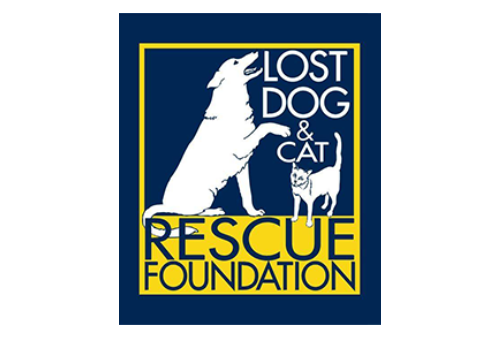lostdogandcatrescue-aspect-ratio-310-210